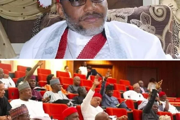 Why 50 Nigerian Lawmakers Seeks Nnamdi Kanu’s Release leader of the proscribed Indigenous People of Biafra (IPOB), Mazi Nnamdi Kanu and National Assembly members