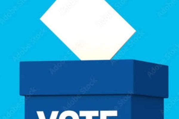 Election logo