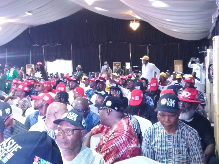 Edo 2024: We’ll run a transparent govt that’s fully accessible — Ighodalo