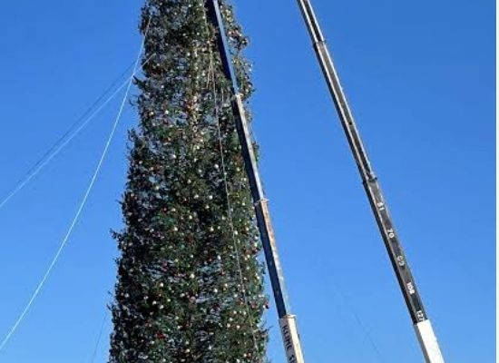 The Tallest Christmas Light Tree