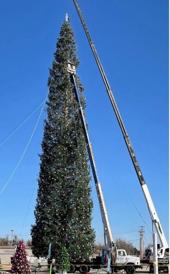 The Tallest Christmas Light Tree