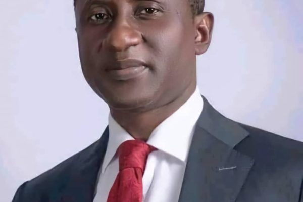 Dr Uchechukwu Sampson Ogah, CON, Ph.D, former Minister of Mines and Steel