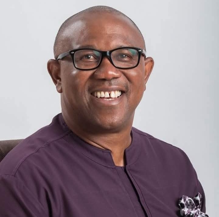 Former Labour Party presidential candidate and ex-Anambra State governor, Peter Obi