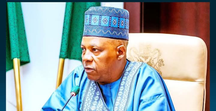 Vice President Kashim Shettima