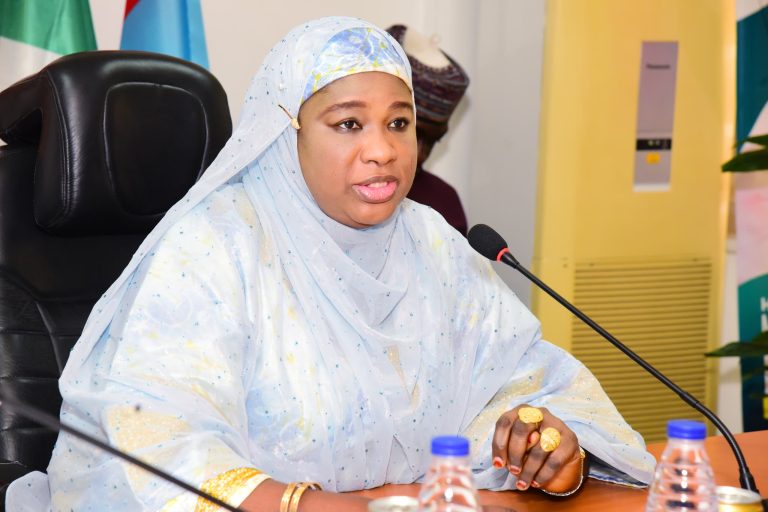 Mahmoud Pushes For More Investments In Primary Healthcare