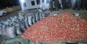 Ammunition-laden truck suspected to be for ESN and IPOB intercepted in Anambra by joint Security operations