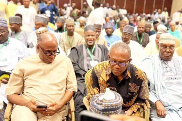 2027: Alternative Above Criticism., Perspective Questions for the Coalition Ameachi, Obi, Atiku and others