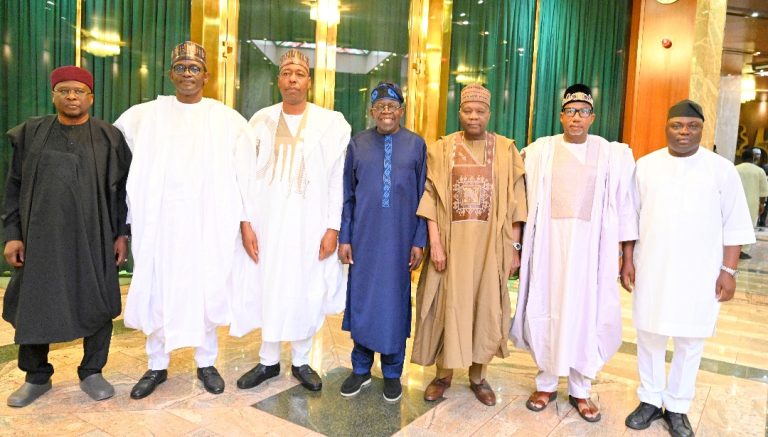 Zulum leads N/East governors to Tinubu, requests completion of 17 roads, oil exploration
