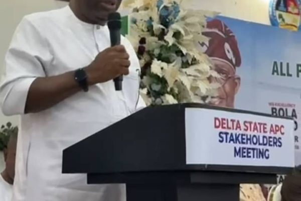 Delta APC Now an ‘Unstoppable Moving Train’ — Senator Joel-Onowakpo Senator Thomas Joel-Onowakpo, representing Delta South Senatorial District