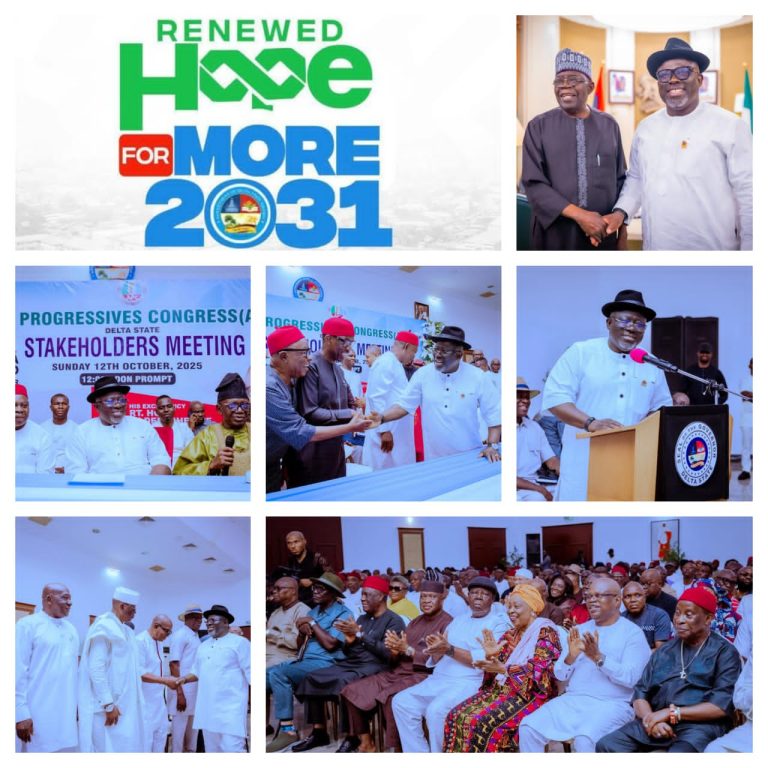 2027: Why Tinubu, Oborevwori unstoppable in Delta - Bureau Chief