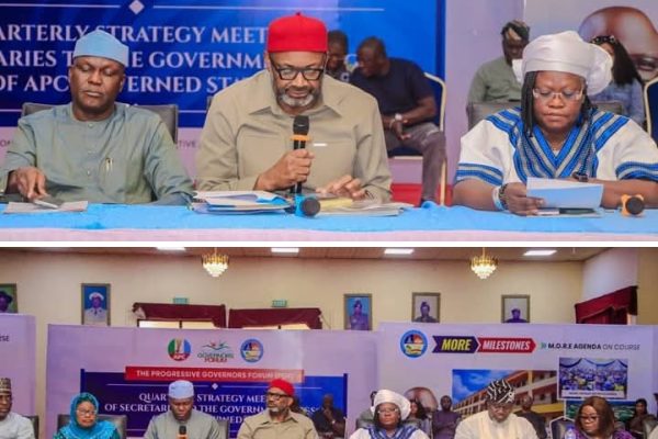 PGF SGSs Meeting: APC States Vow Stronger Synergy On Governance Reforms PGF SGSs Meeting: APC States Vow Stronger Synergy On Governance Reforms