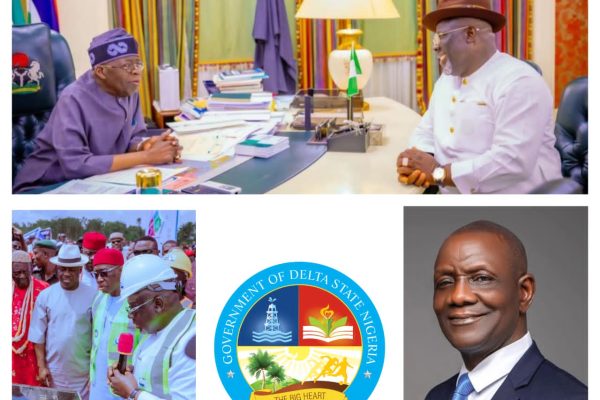 Delta Special Economic Zone to boost industrial growth - Bureau Chief Oghenesivbe