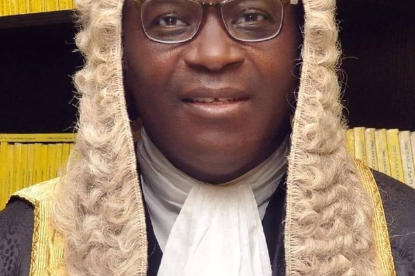Law professor, Sebastine Hon. Senior Advocate of Nigeria (SAN)