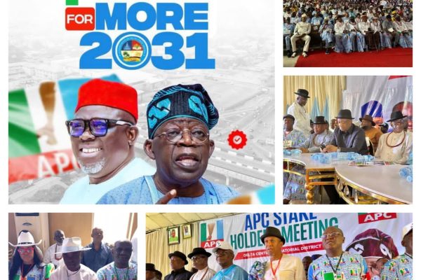 Delta Central APC Pledges Unwavering Support for Tinubu, Oborevwori Ahead of 2027 Elections