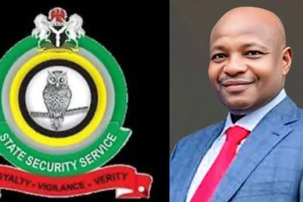 Director-General of the DSS, Mr. Tosin Ajayi