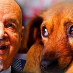 WEF advocate legalizing sex and marriage with animals for inclusiveness