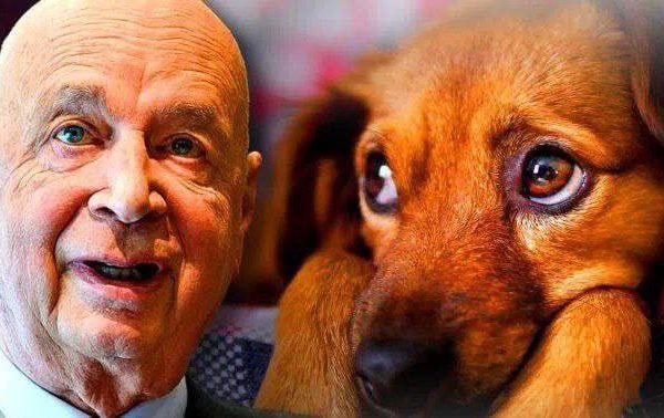 WEF advocate legalizing sex and marriage with animals for inclusiveness