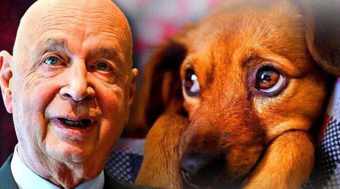 WEF advocate legalizing sex and marriage with animals for inclusiveness