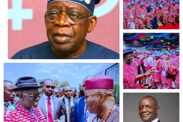 The Gains Of APC’s South-South Congress And The Road To 2027