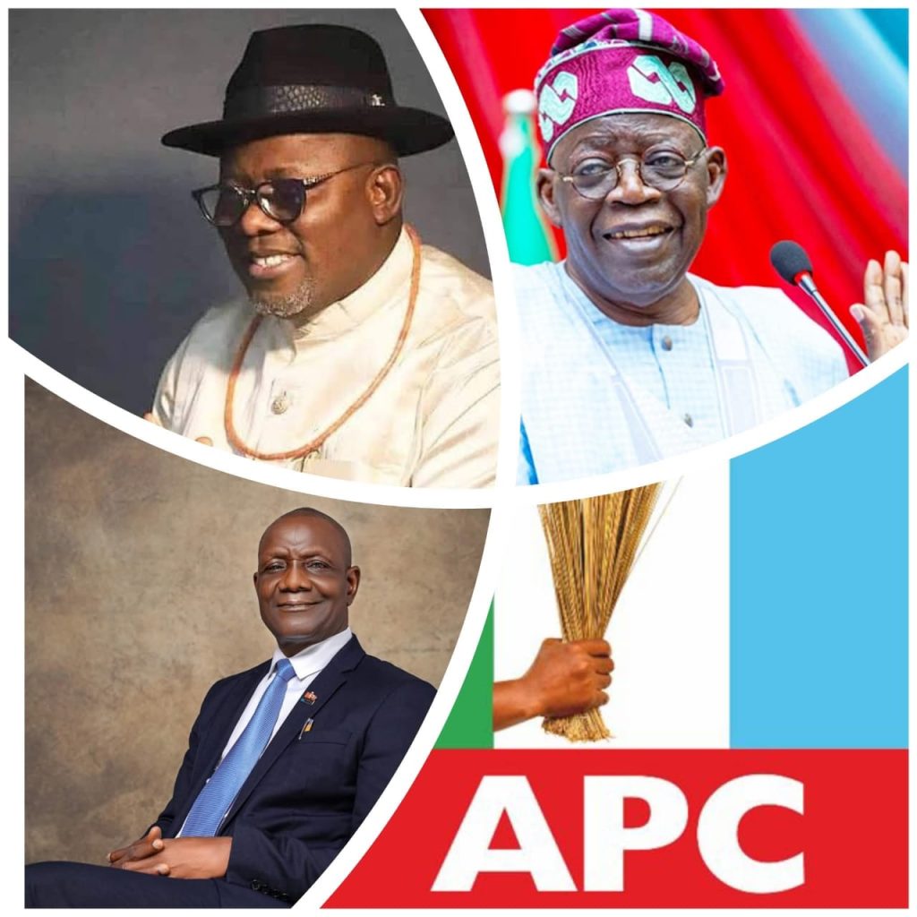 Tinubu, Oborevwori’s Achievements Set the Stage for 2027 Victory — Bureau DG