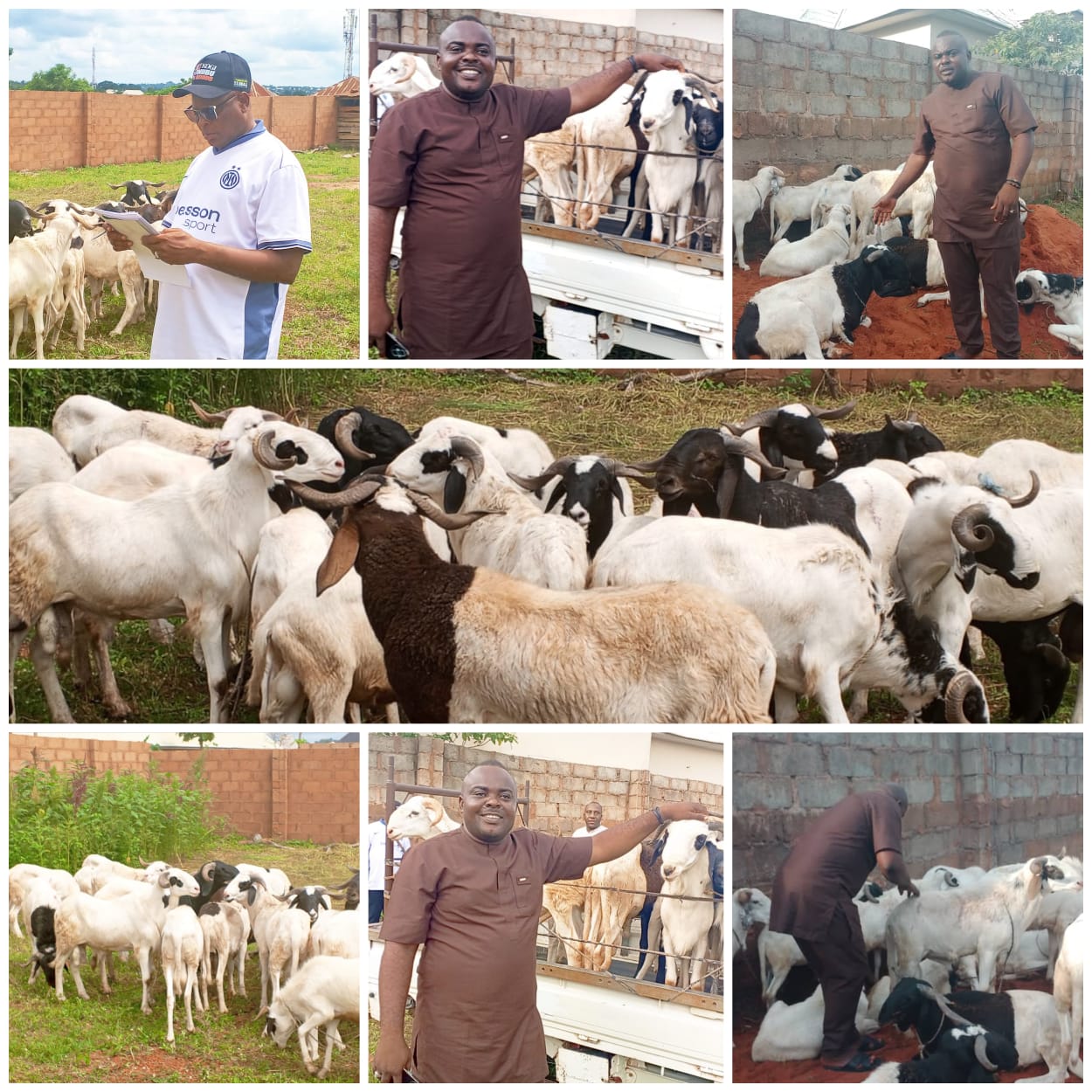 Kogi East APC Senatorial Candidate, Joseph Ameh Erico, Distributes Rams to Muslims for Eid-el-Adha