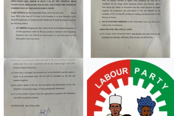 Labour Party Sues INEC Over Exclusion from Enugu North Senatorial By-Election