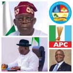 Oborevwori's performance reflects gains of democratic governance — Oghenesivbe