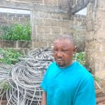 Suspected electric cable vandals