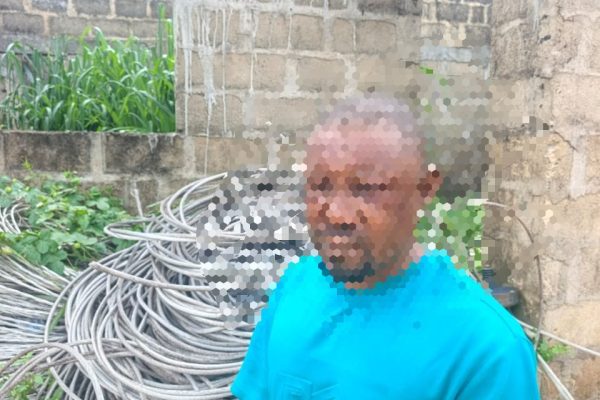 Suspected electric cable vandals
