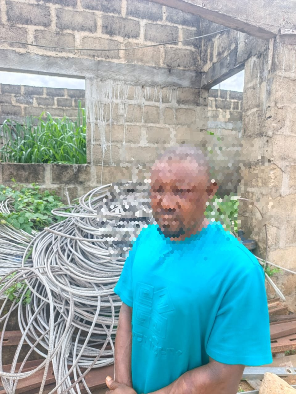 Suspected electric cable vandals