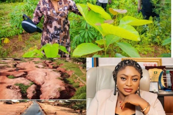 From Kogi State to a Greener Nigeria
