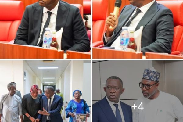 Senator Karimi appreciates supporters after INEC confirmation