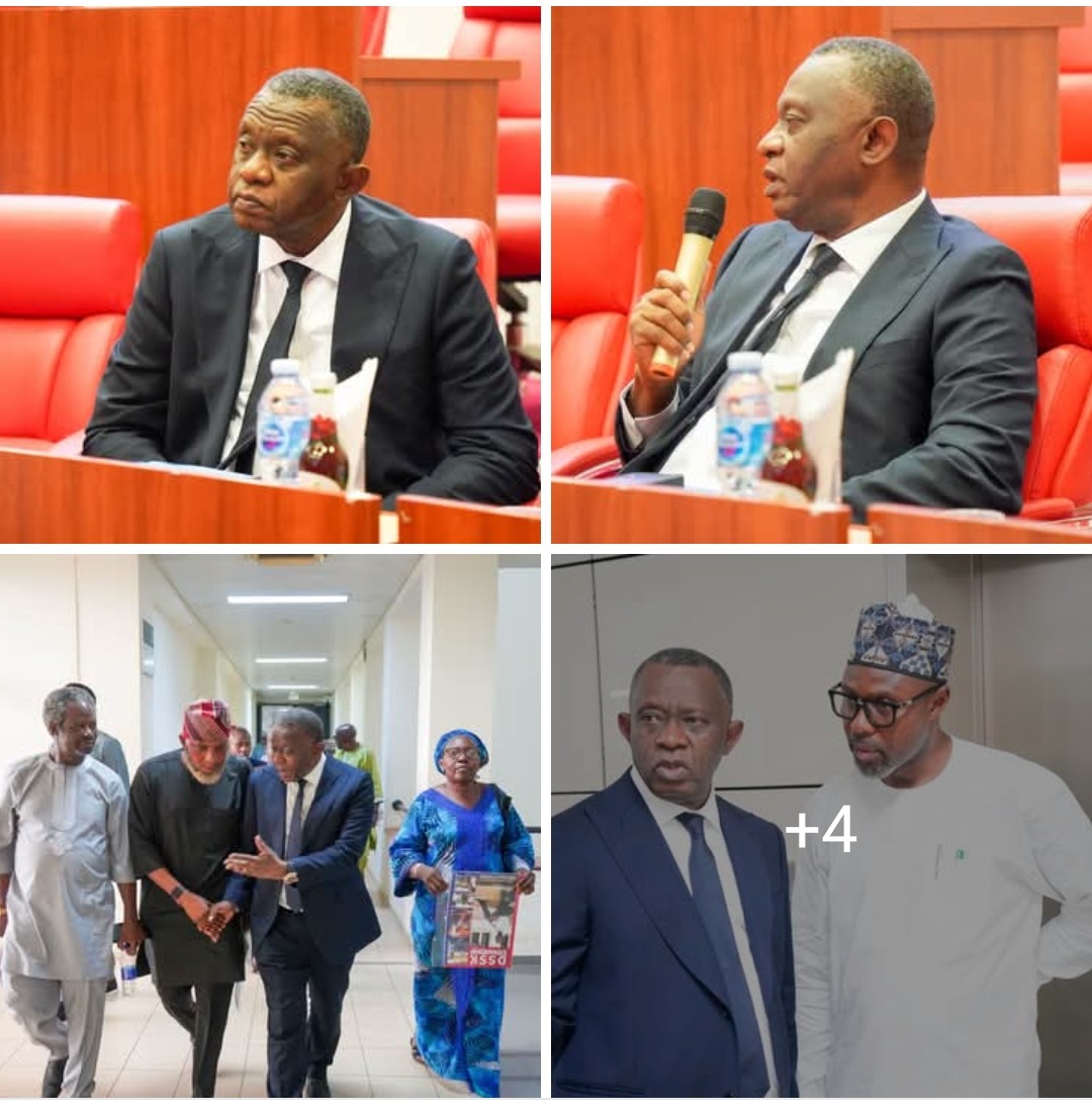 Senator Karimi appreciates supporters after INEC confirmation