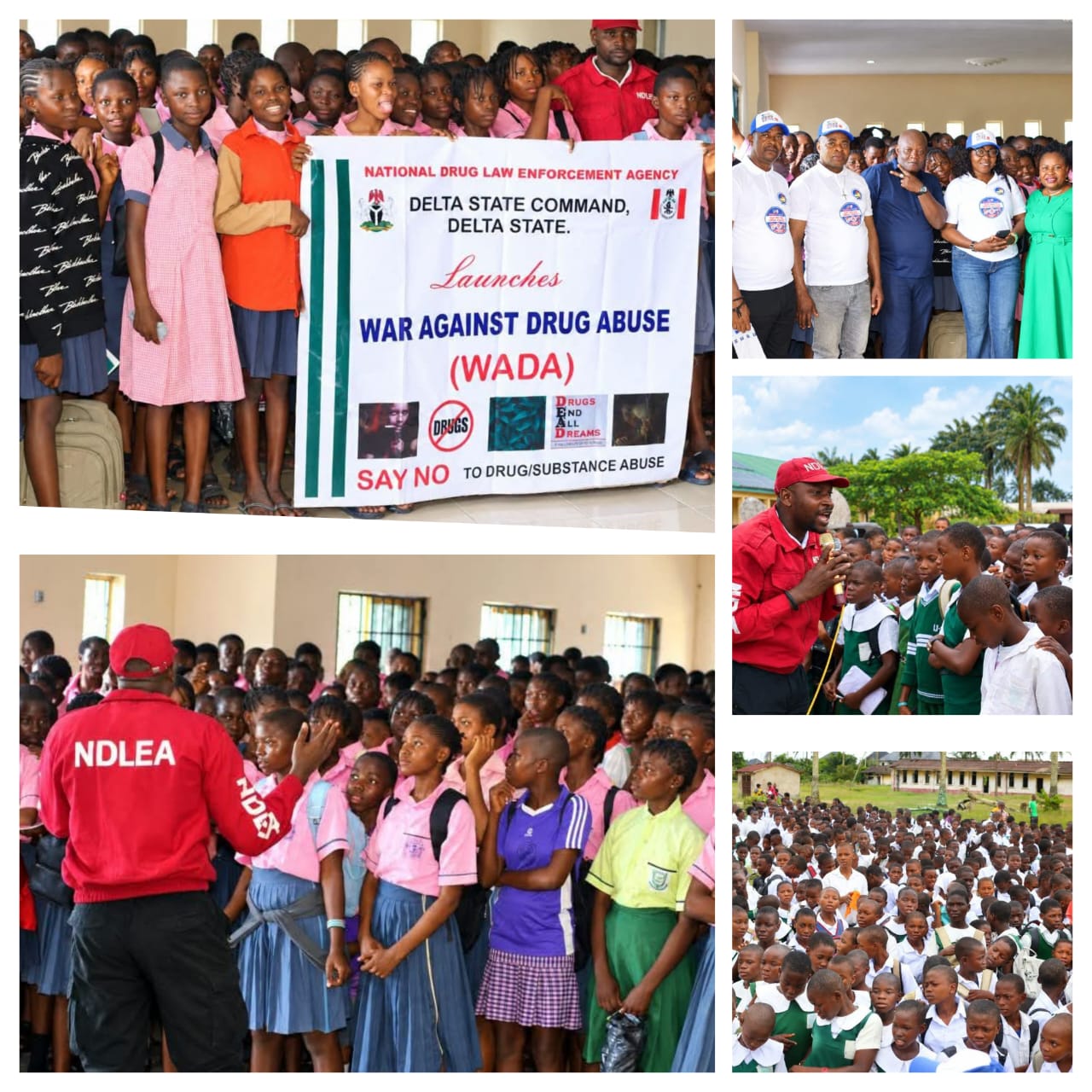 NDLEA ongoing campaign against illicit drugs in Delta